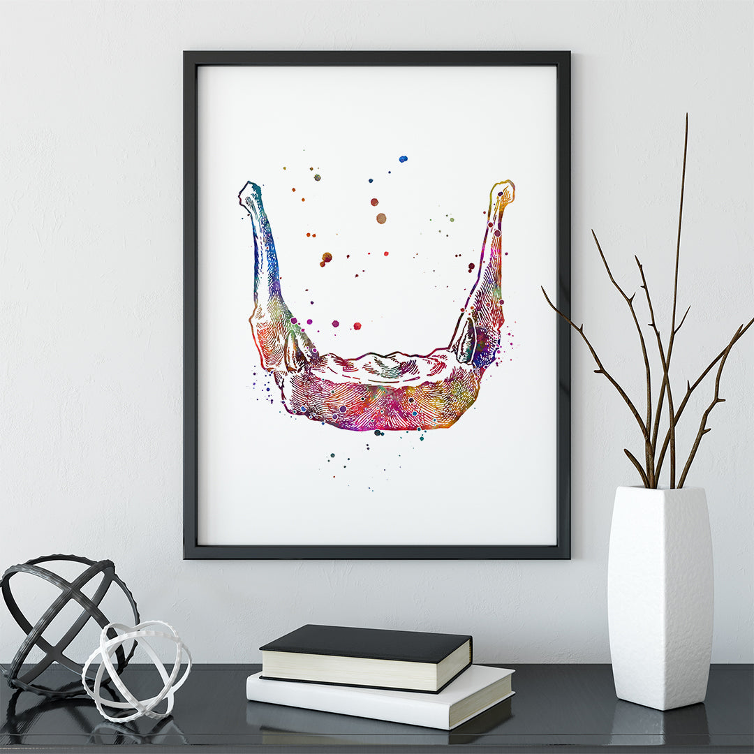 Hyoid Bone Anatomy Art Watercolor Print