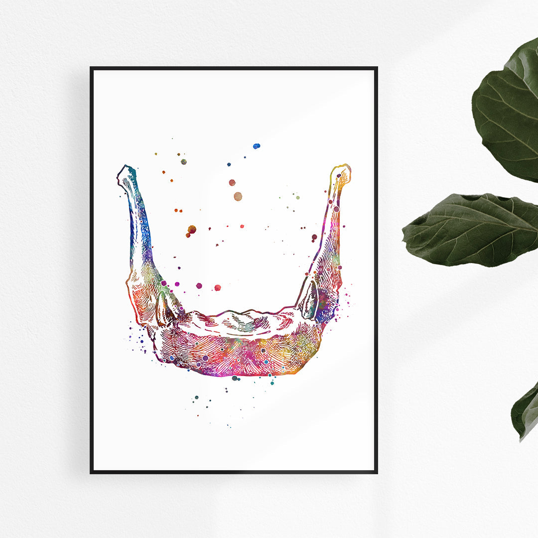 Hyoid Bone Anatomy Art Watercolor Print