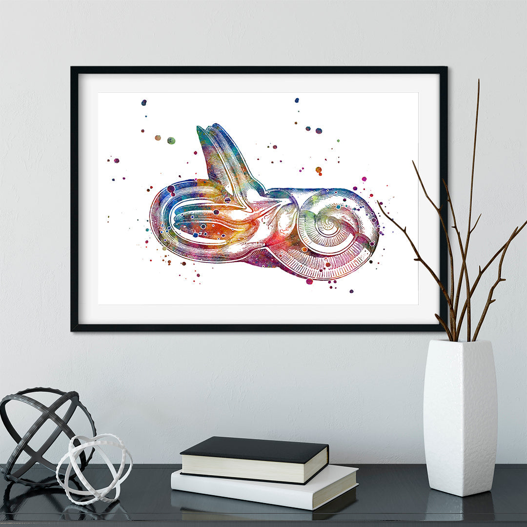 Inner Ear Watercolor Art Print