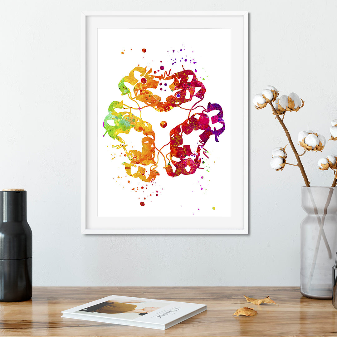 Insulin molecule watercolor print in warm colors, perfect for endocrinology-themed decor in clinics or educational spaces.