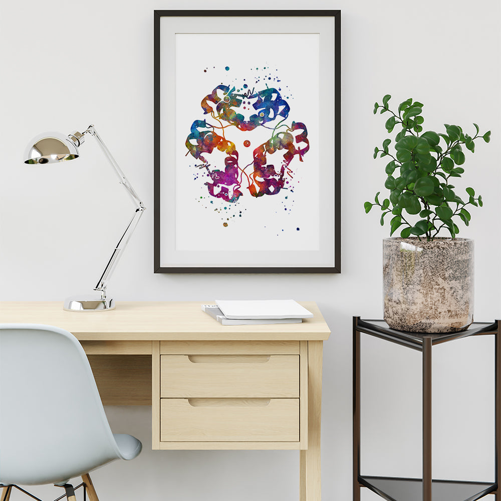 Detailed insulin structure artwork in vibrant watercolors, ideal for diabetes education or clinic display.