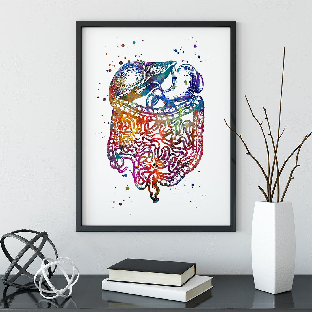 Digestive System, Human Internal Organs Watercolor Print