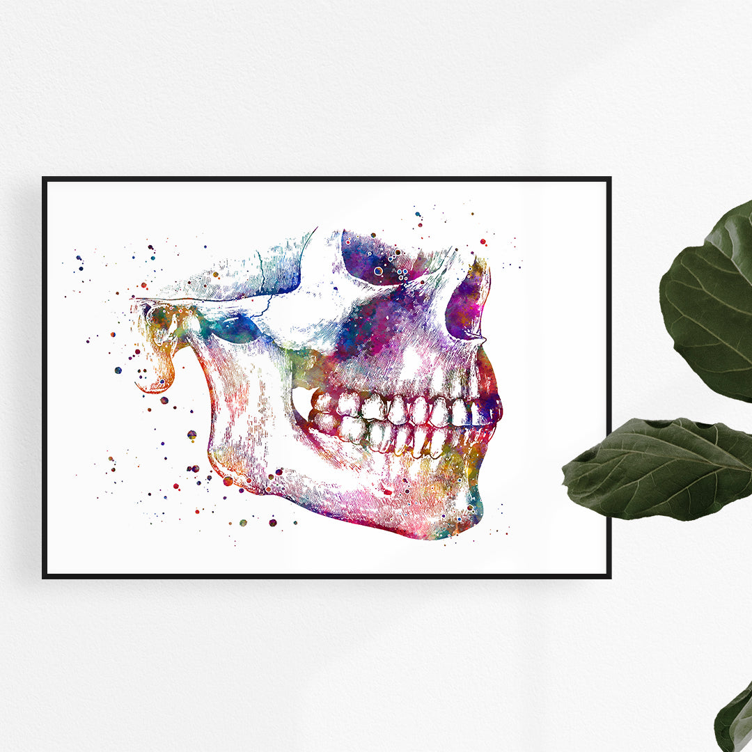 Jaw surgery clinic decor, mandible and maxilla paiting wall art for dentist gift idea