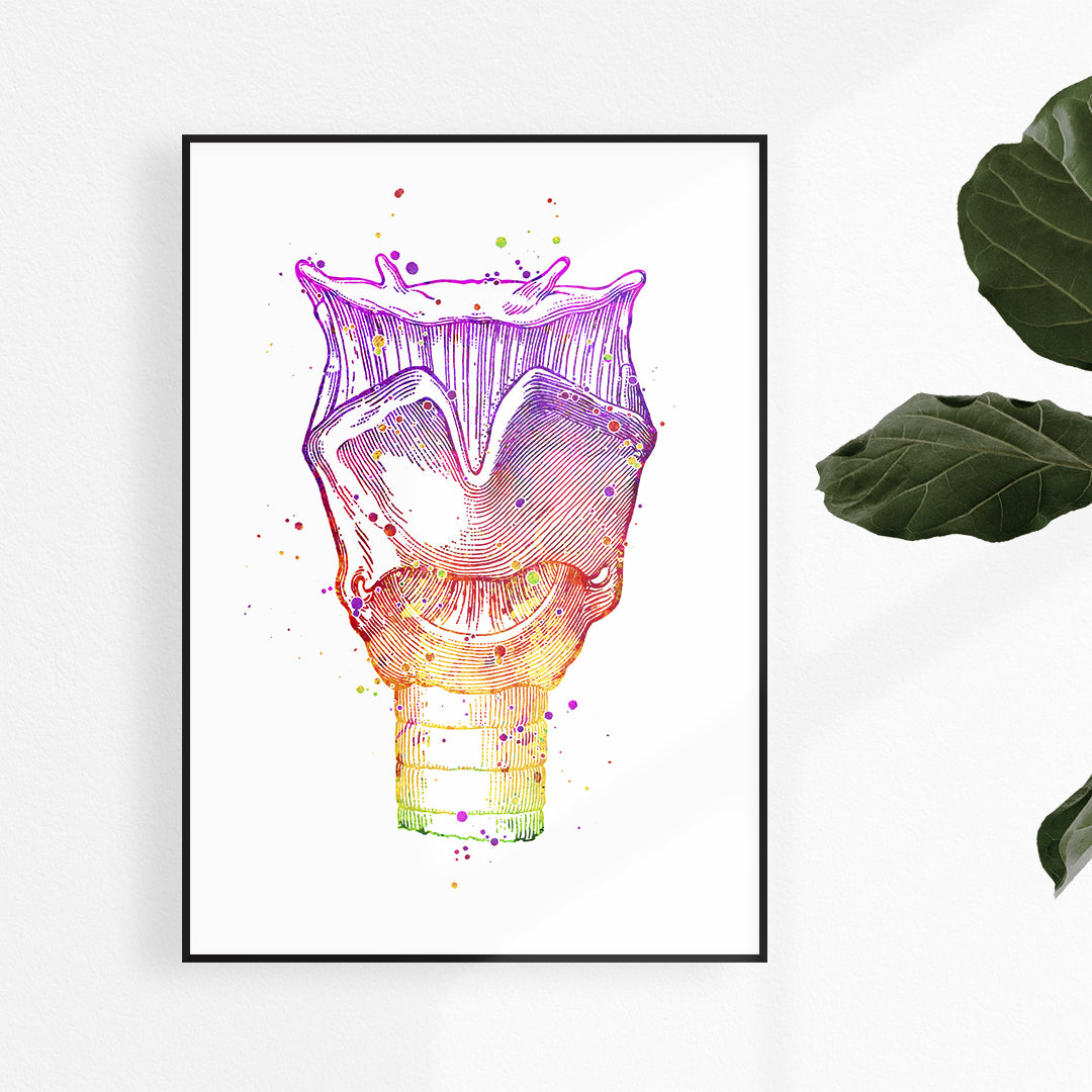 Detailed watercolor larynx anatomy art print, ideal for speech therapy clinics and vocal health professionals