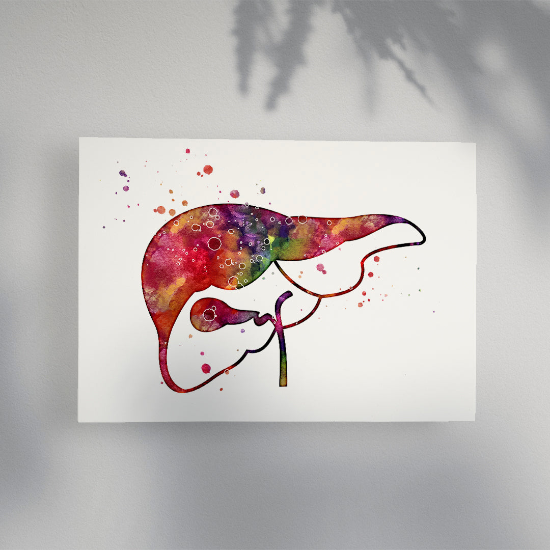Liver and Gall Anatomical Watercolor Print