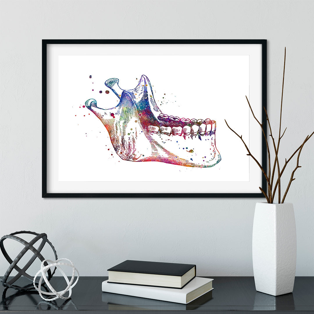 Jaw Anatomy Art – Colorful Mandible Print for Dental Office
