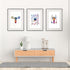 Fertilization Male and Female Reproductive System Set of 3 Prints