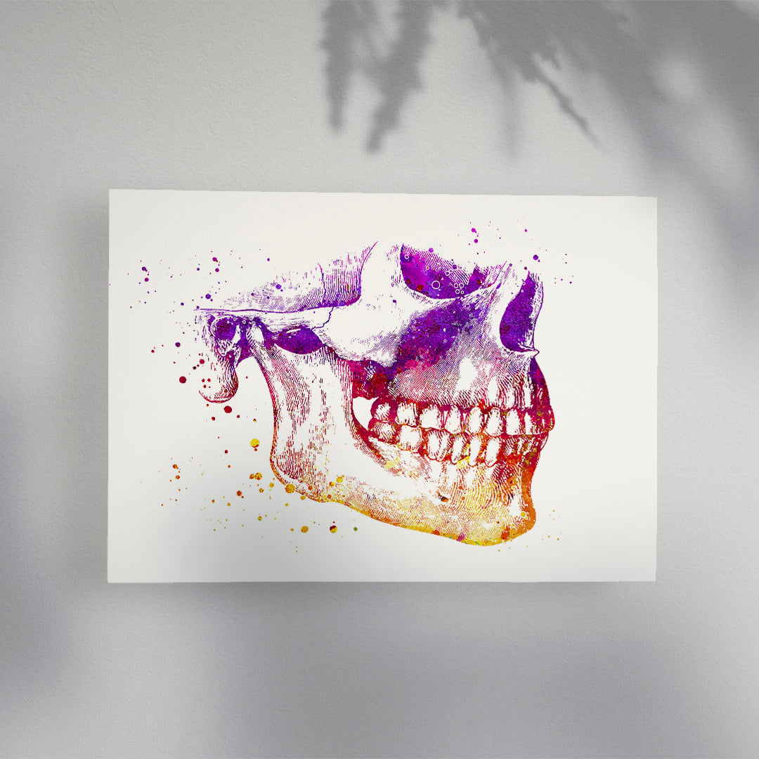 Human Jaw Anatomy Ptint for dentist office decor