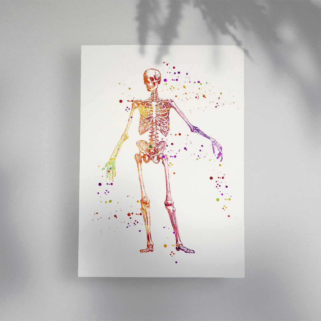 Human Skeleton Anatomy Watercolor Art Print