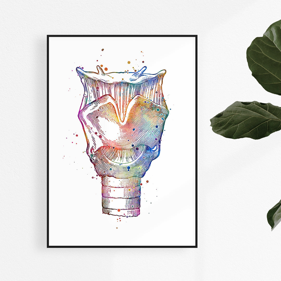 Larynx Voice Box Anatomy Art Colorful Print