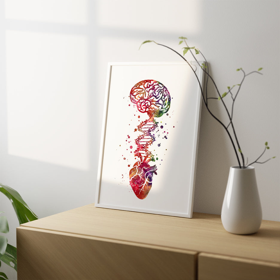 Medical Art - Brain Heart and DNA Watercolor Print