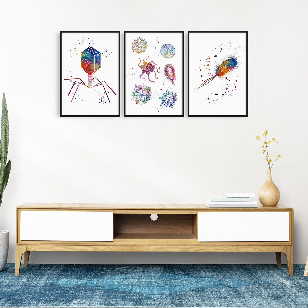 Set of 3 microbiology watercolor prints: bacteriophage, virus, and E. coli illustrations for science decor