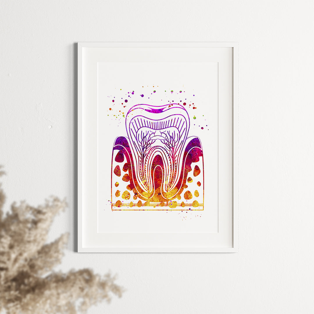 Artistic molar tooth structure print in watercolor style, ideal for clinic walls