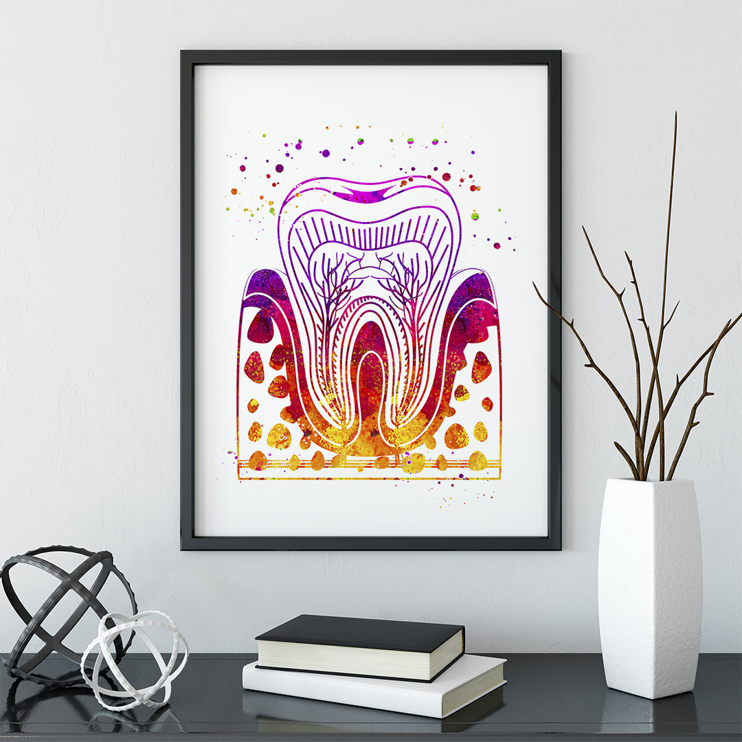 Anatomical art of molar tooth layers in watercolor, perfect gift for dentists