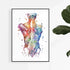 Back muscles anatomy art, a colorful watercolor print for physiotherapy or chiropractic decor.