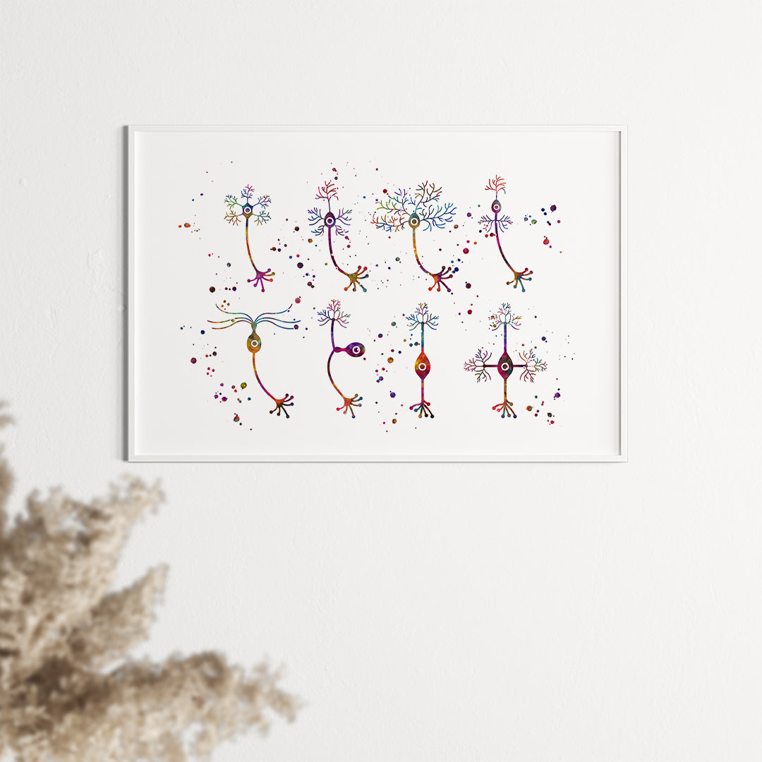 Detailed neuron types watercolor print, ideal for classrooms, labs, or as medical office decor.