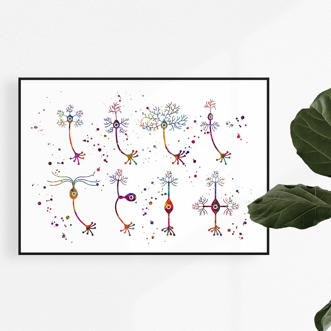 Colorful art print of neuron types, a vibrant addition for neuroscience or psychology-themed decor.