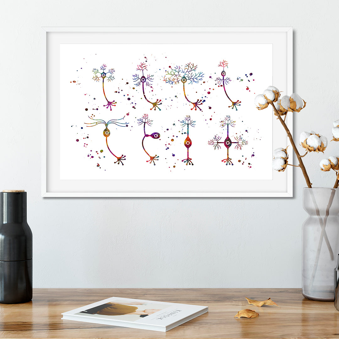 Educational neuron art print showcasing cell diversity, a striking decor piece for science enthusiasts