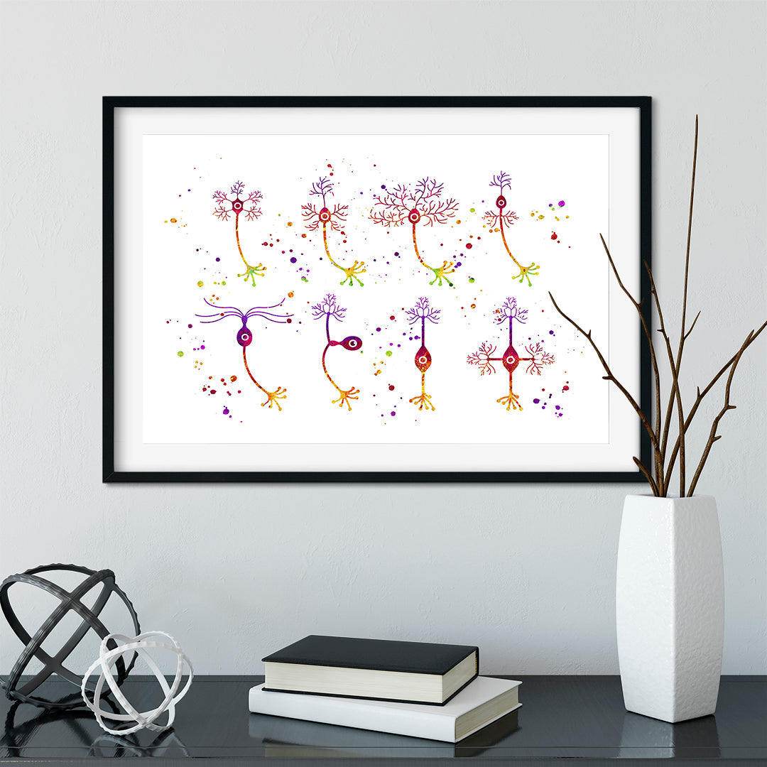 Neuroscience art Neurons Types Watercolor Art Print