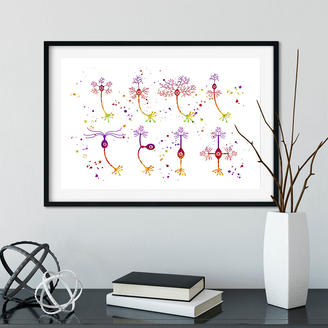 Neurons Types Watercolor Print - Intricate neuron structures in vibrant colors, a captivating decor piece for neuroscience enthusiasts.