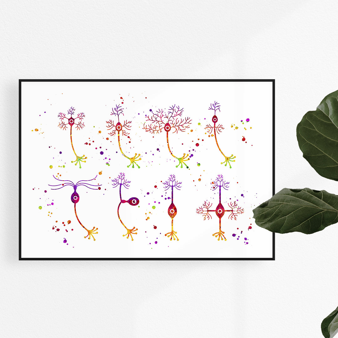 Types of Neurons Watercolor Art Print - Colorful neuroscience art perfect for clinics, labs, or educational spaces, capturing neural diversity.