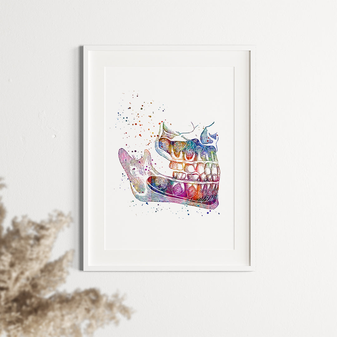 Watercolor print of human jaw, ideal for showcasing orthognathic surgery and anatomy