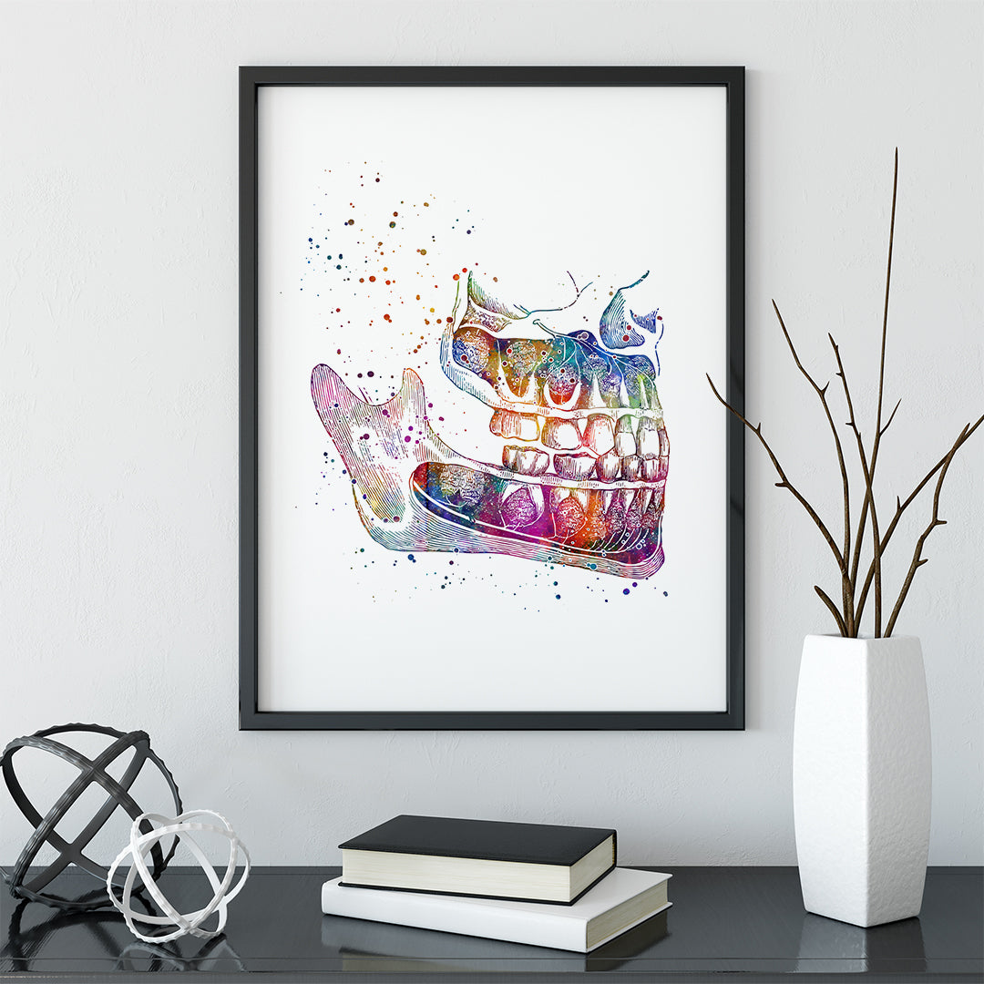 Detailed watercolor of jaw structure, a vibrant addition for surgery or dental settings