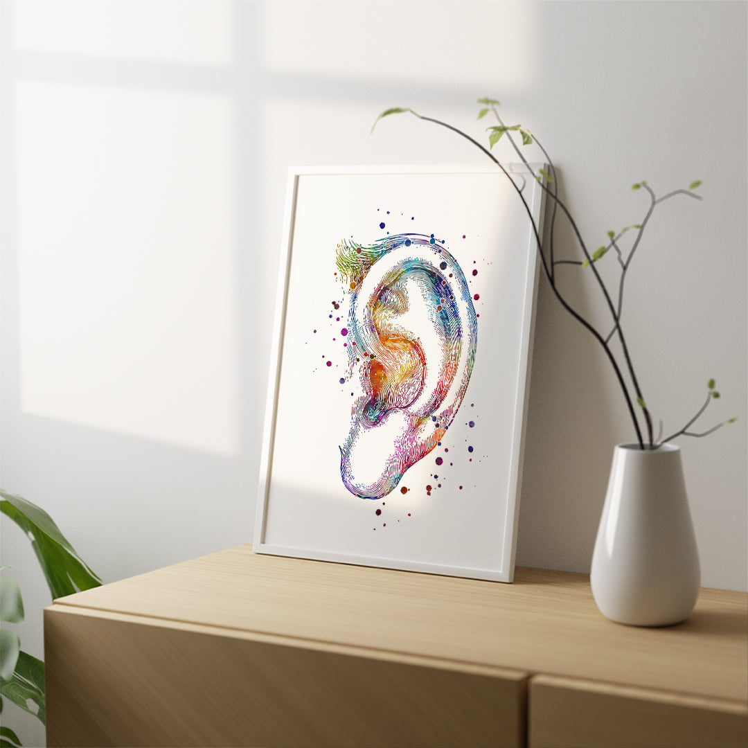 Anatomical watercolor art of the outer ear, showcasing the auricle in detailed, colorful design