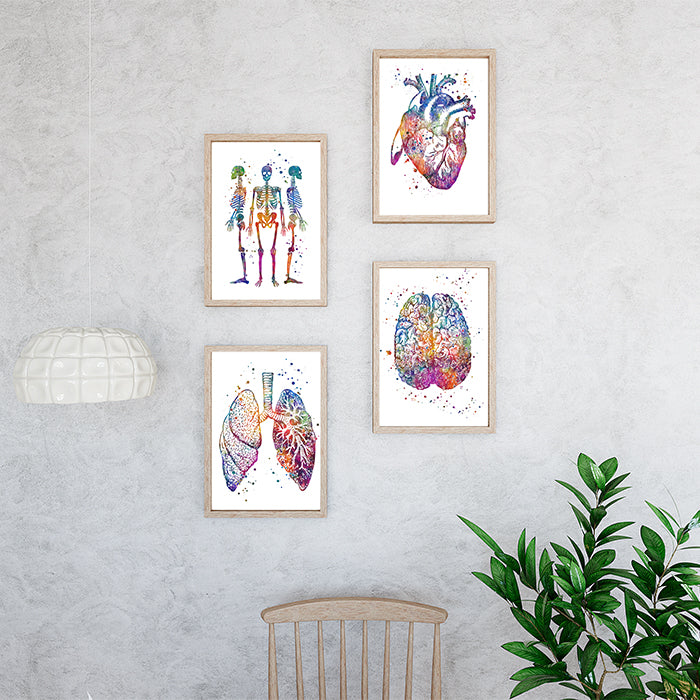 Multicolored heart, brain, lung, and skeleton anatomy prints on premium textured paper, great gift for healthcare professionals or students.