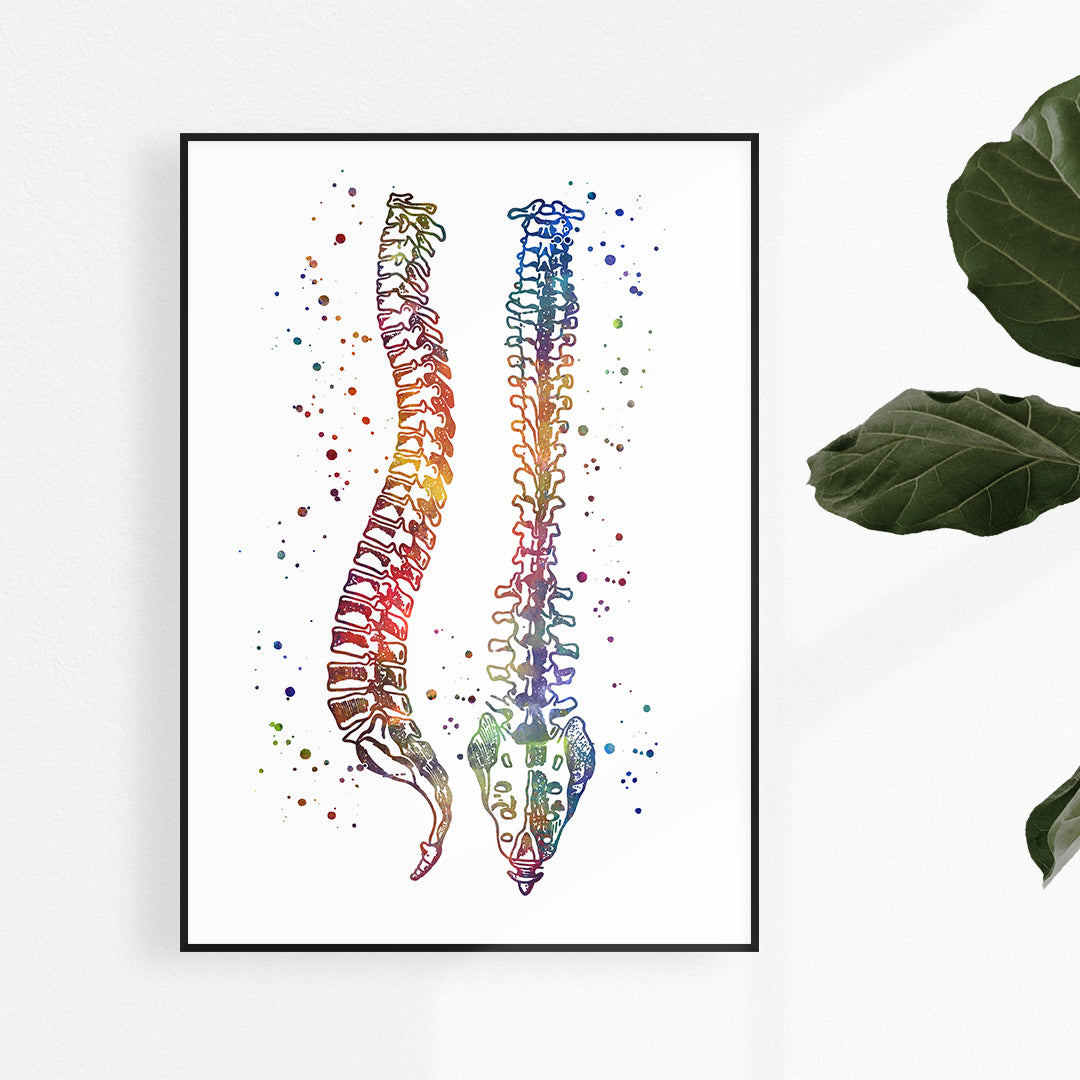 Watercolor human spine multicolored artwork. Gift idea for doctor of chiropractic.