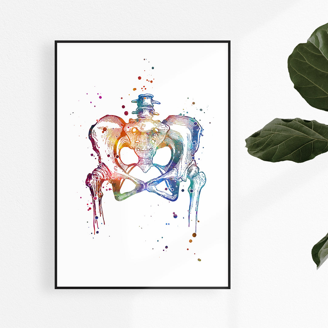 Pelvis and hip joint watercolor anatomy art print