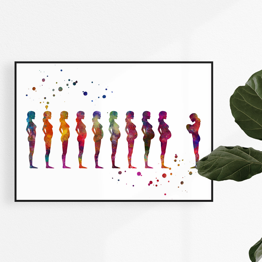 Pregnancy stages watercolor print in vibrant colors on textured art paper, perfect for maternity clinics, prenatal offices, or as a gift for expecting mothers.