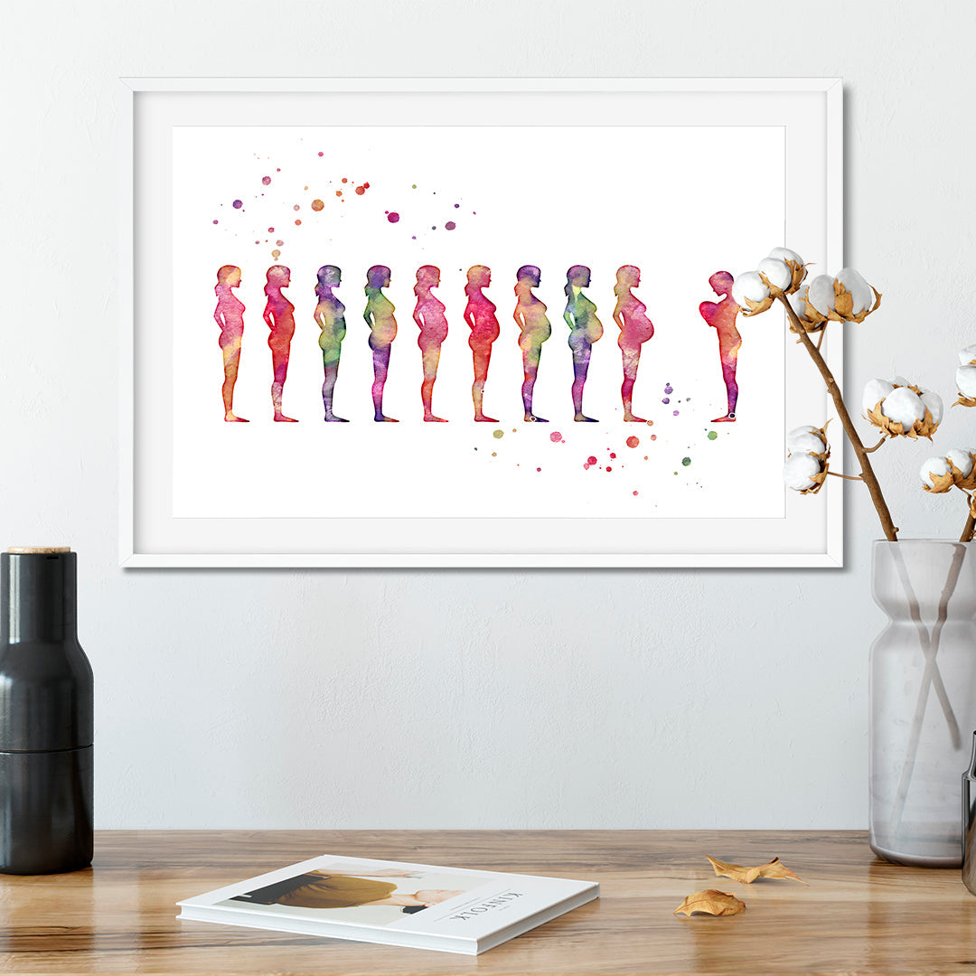 Pregnancy Stages Watercolor Art Print