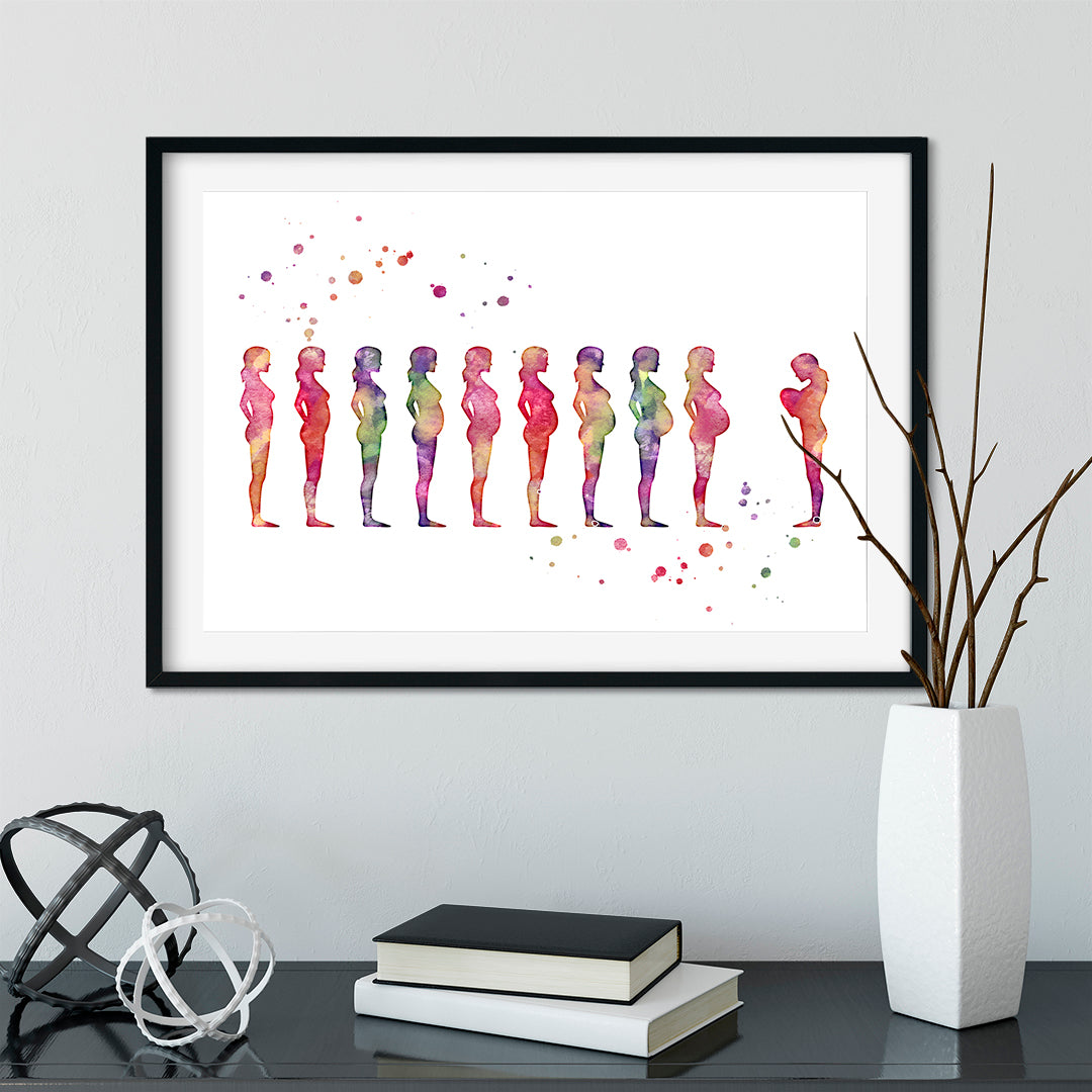 Multicolored watercolor art print showing pregnancy stages, printed on high-quality textured paper, perfect for maternity or healthcare office decor