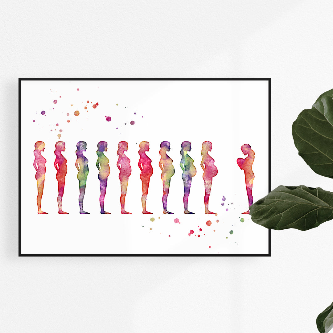 Pregnancy Stages Watercolor Art Print