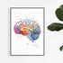 Human Brain Watercolor Print - Neurology Wall Art for Office