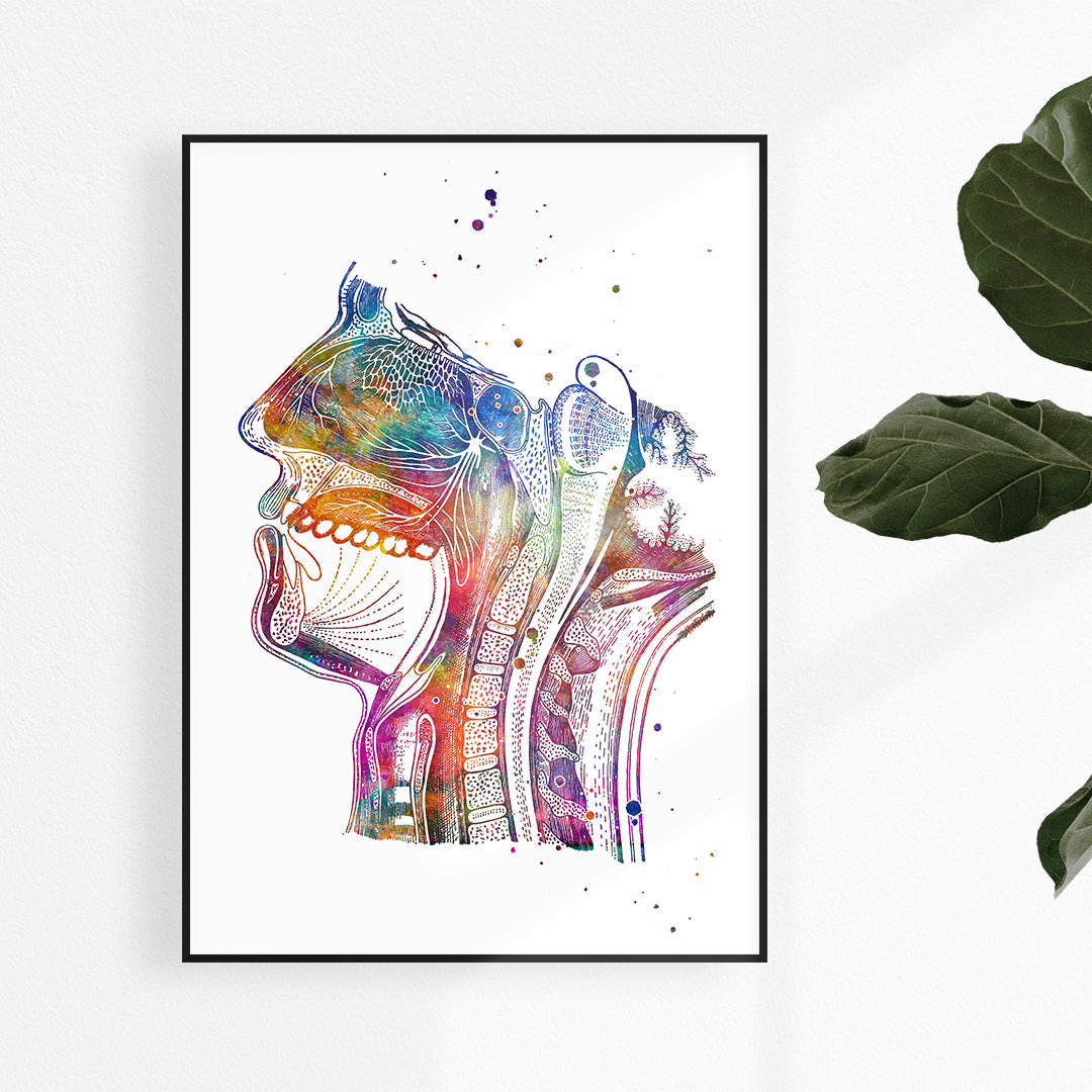 Pathway Of Air Watercolor Print Respiratory System Poster
