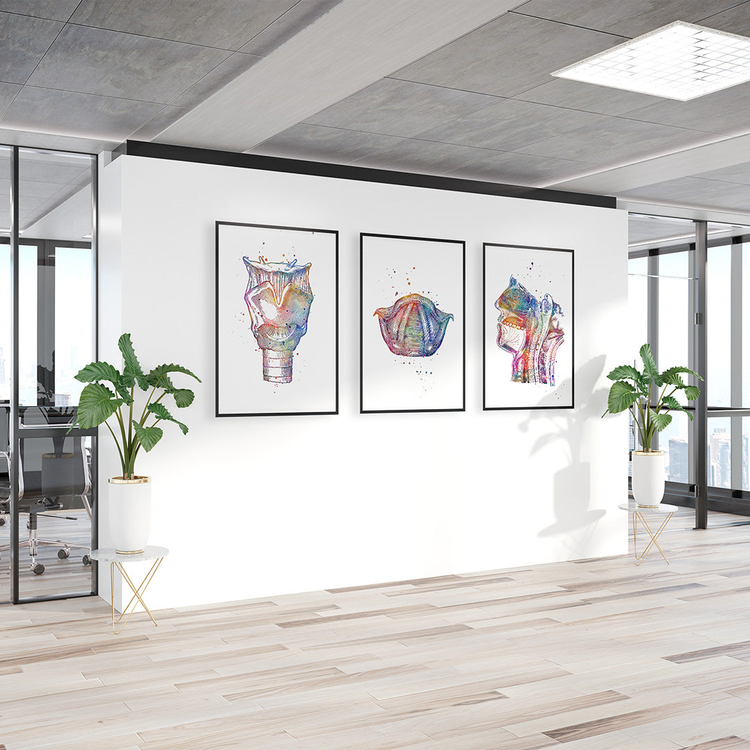 Speech Language Therapy Wall Art – Set of 3 Anatomy Prints