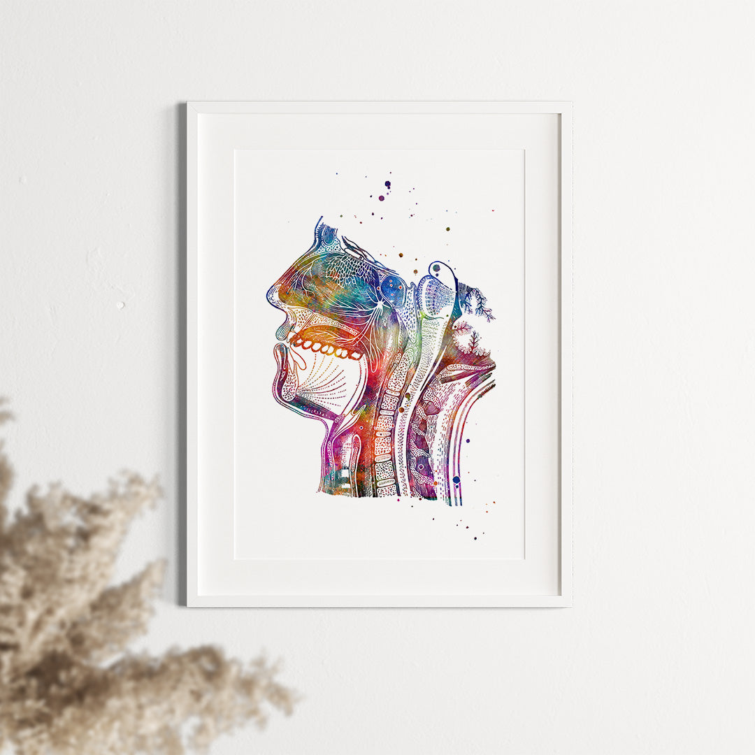 Pathway Of Air Watercolor Print Respiratory System Poster