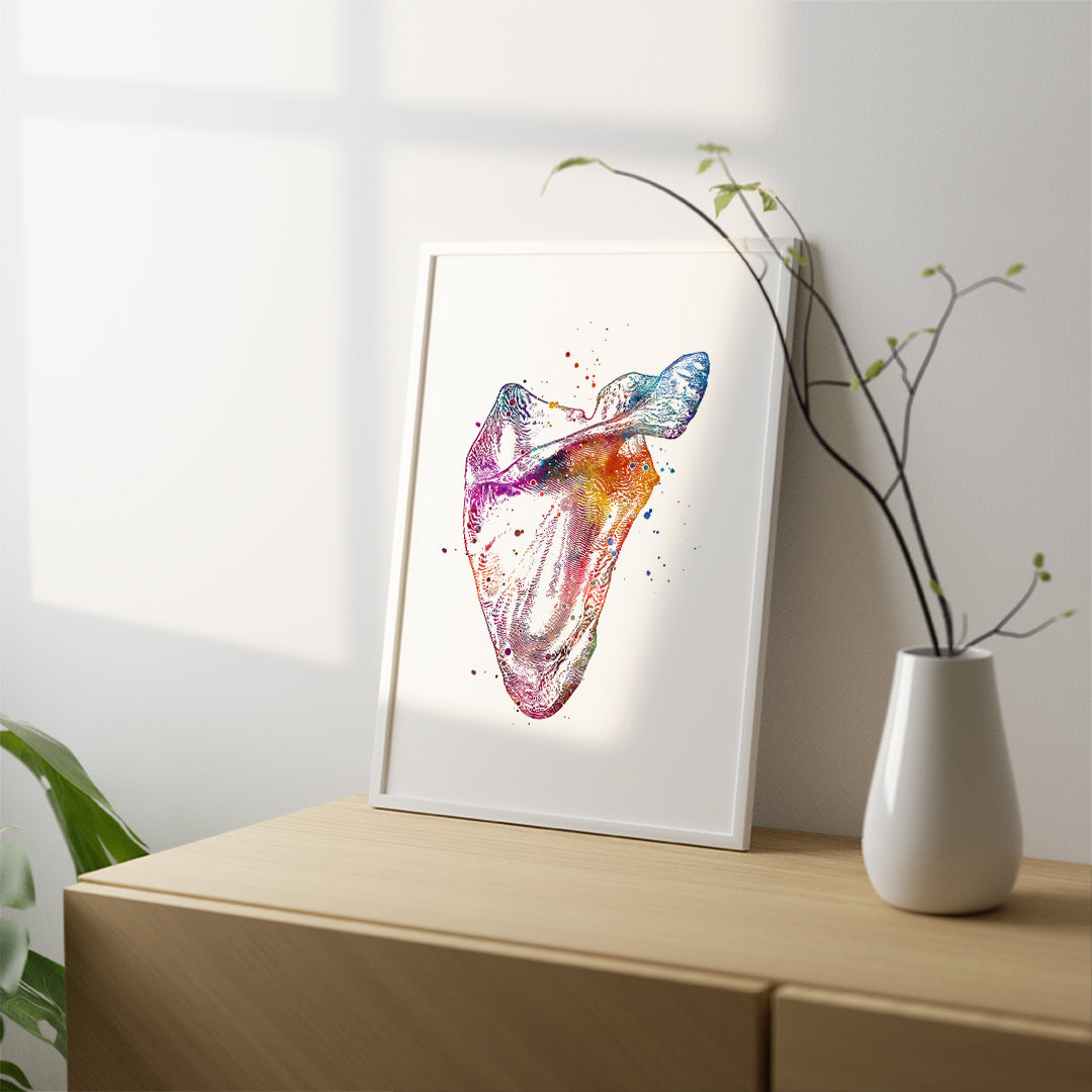 Human Scapula Print, Anatomical Watercolor Artwork
