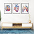 Brain heart and lungs set of 3 watercolor anatomical prints for school nurse office decor