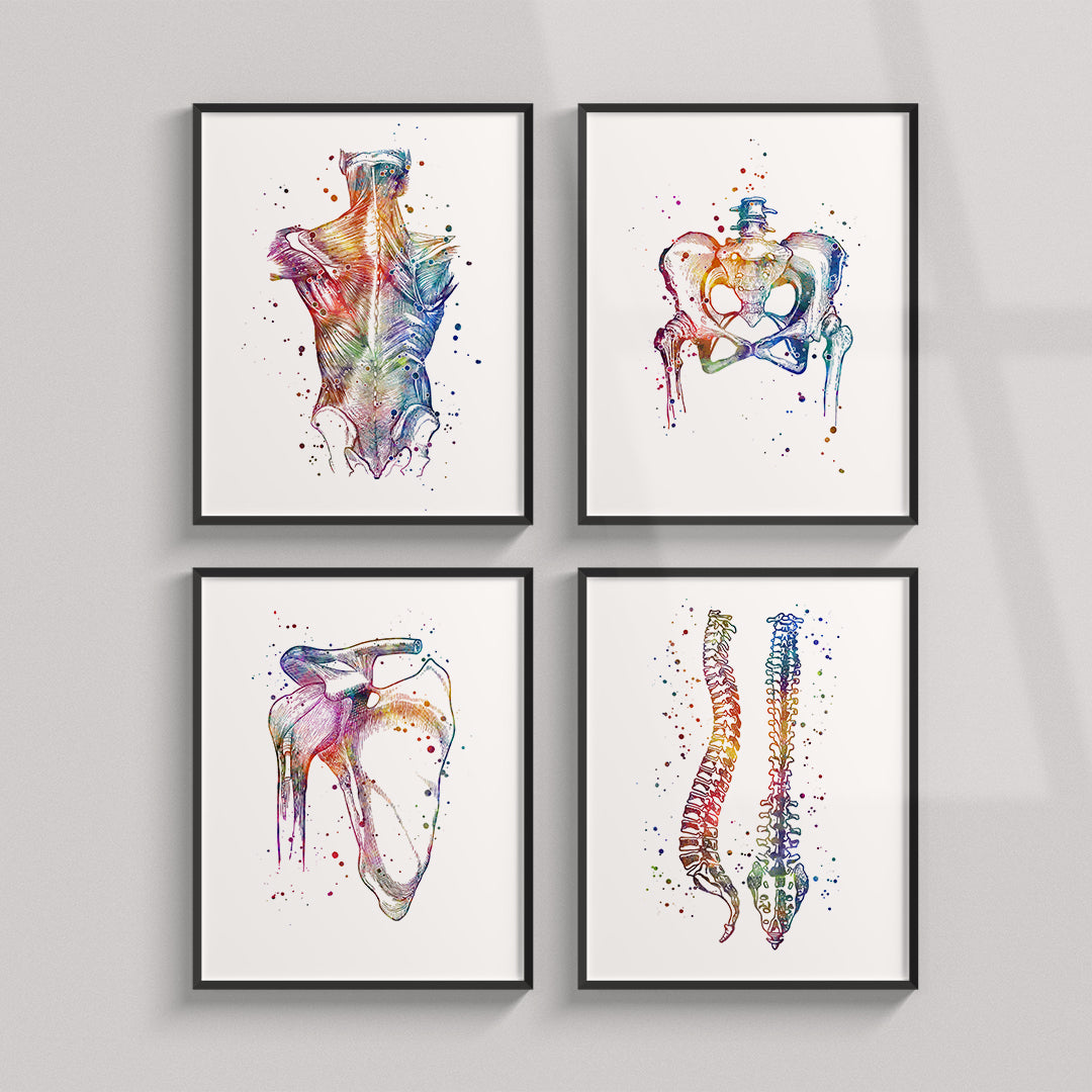 Physiotherapy Wall Decor - Set of 4 Art Prints