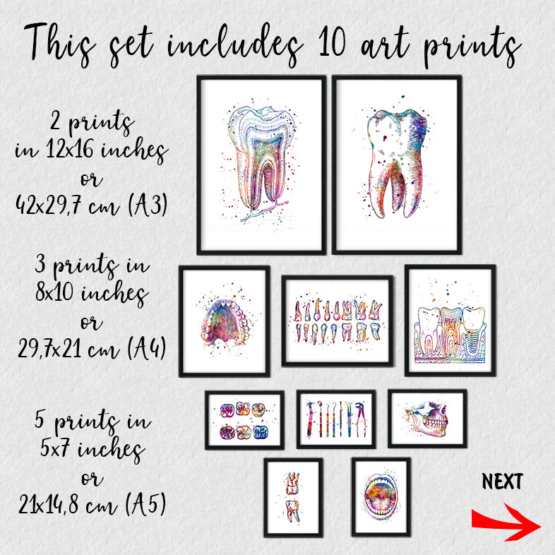 Set of 10 dental anatomy watercolor prints for dentists, orthodontists, or anyone passionate about dental-themed decor.