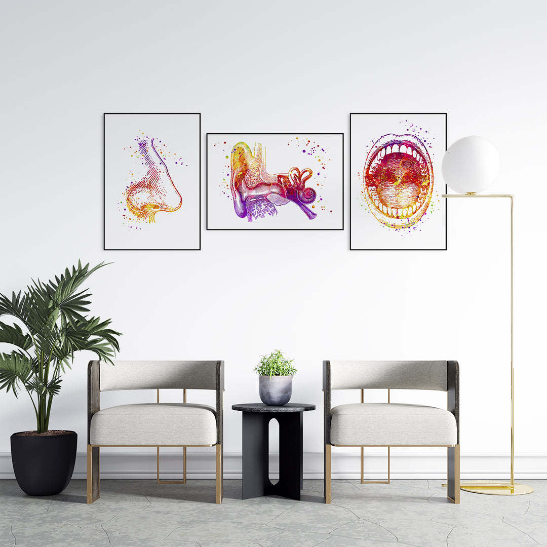 Colorful ENT watercolor print set, 3-piece ear, nose, and throat art on high-quality paper, ideal for clinics and offices