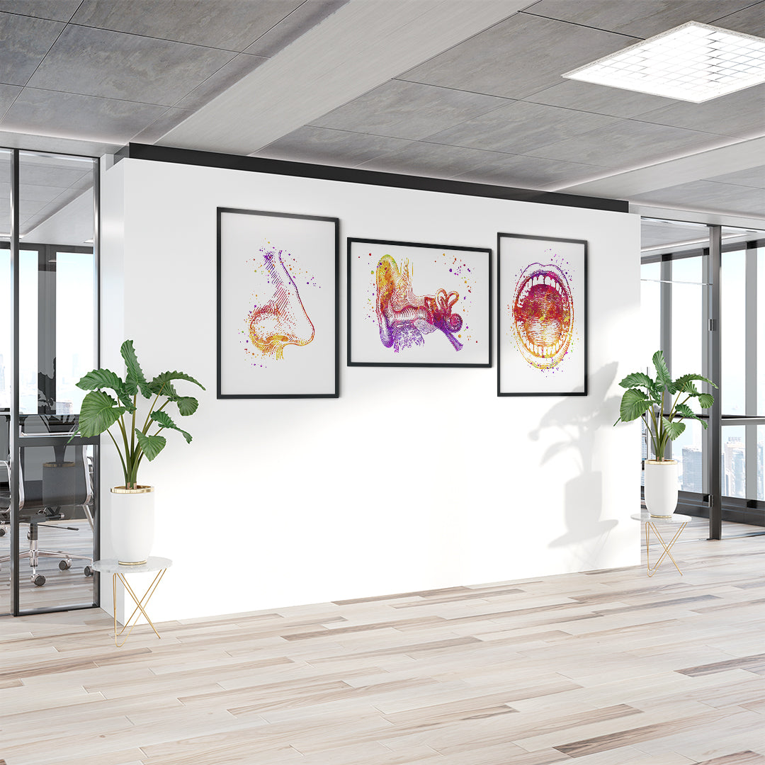 ENT Art Set of 3 Watercolor Prints