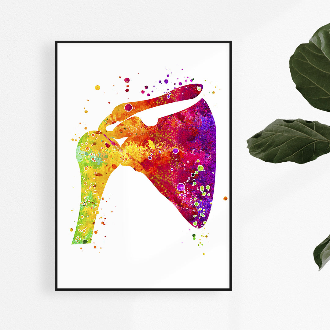 Human Shoulder Artwork, Anatomical Watercolor Art Print for Orthopedic Surgeon Gift