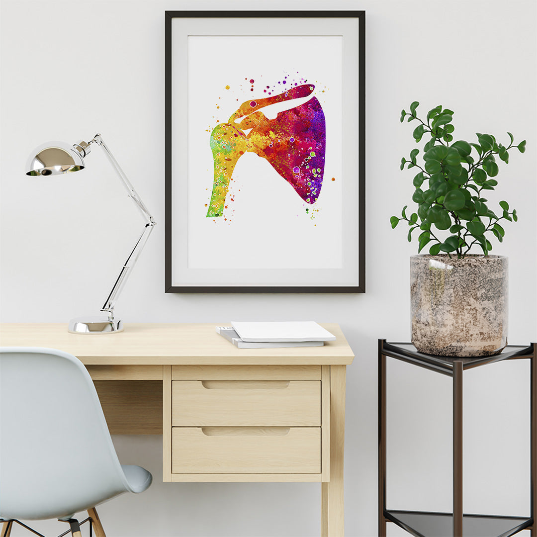 Human Shoulder Vibrant Watercolor Anatomy Art Print for Physioterapist office wall decor