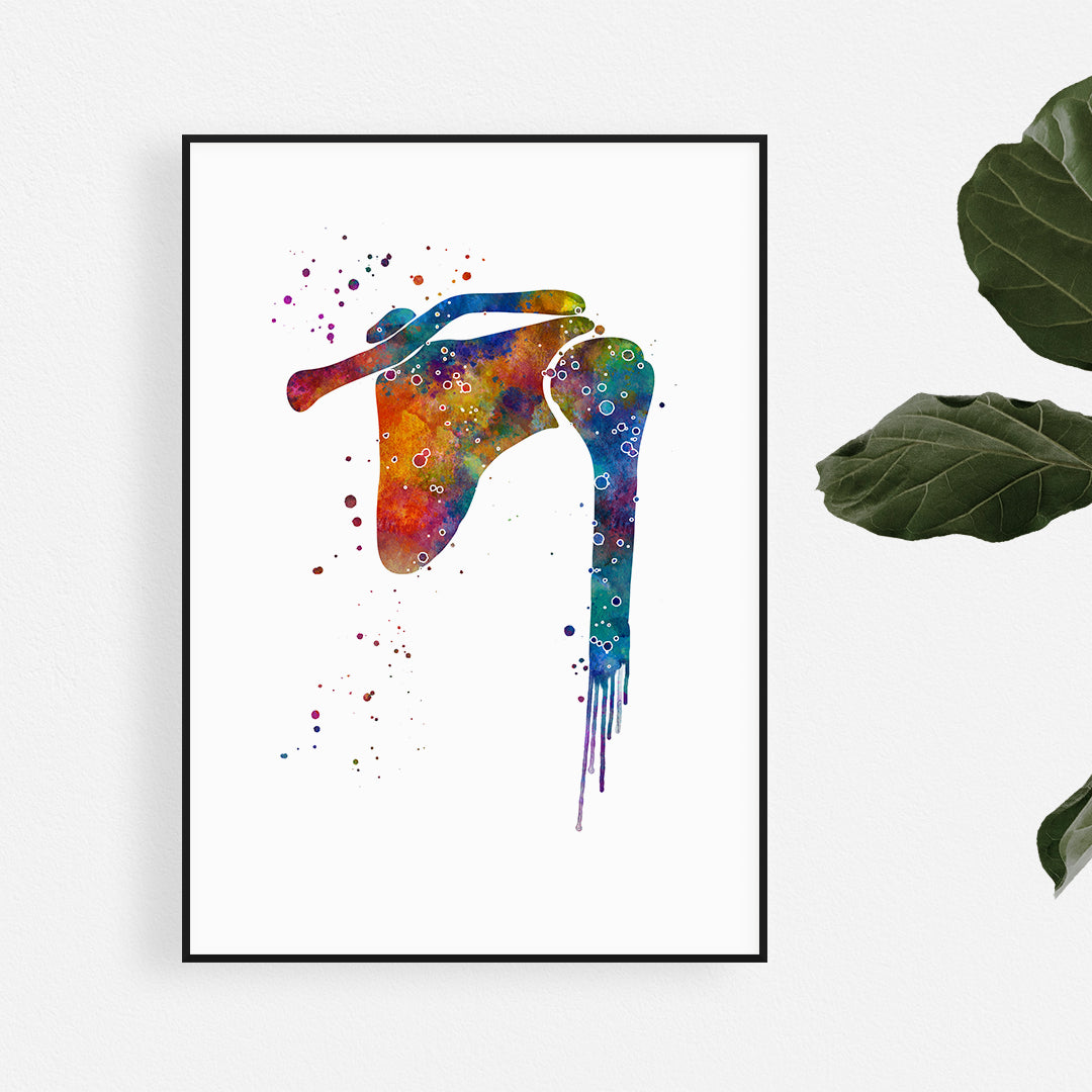 Shoulder Joint Watercolor Anatomy Art Print for surgery clinic decor