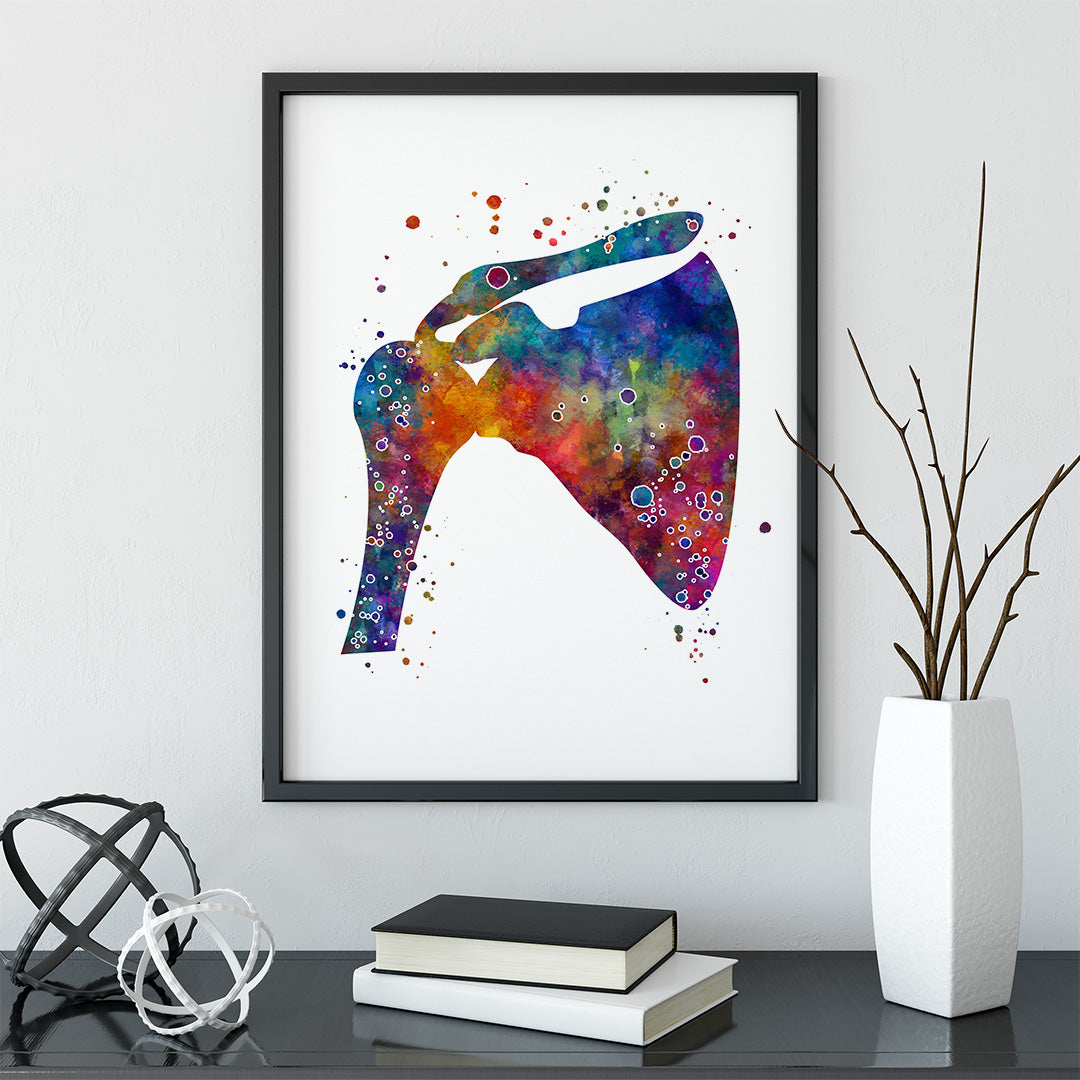 Shoulder Anatomical Watercolor Art Print