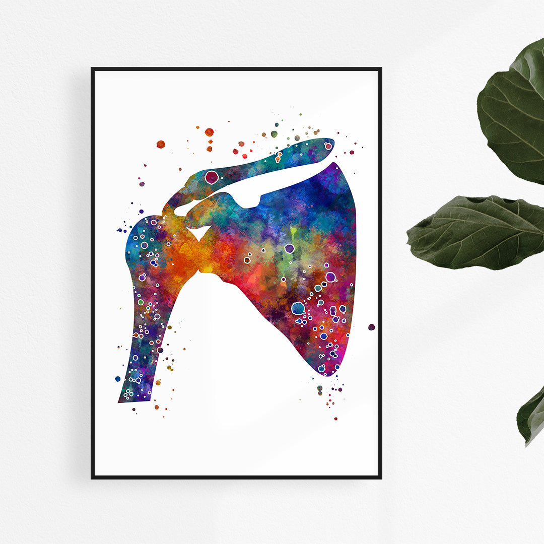 Shoulder Anatomical Watercolor Art Print